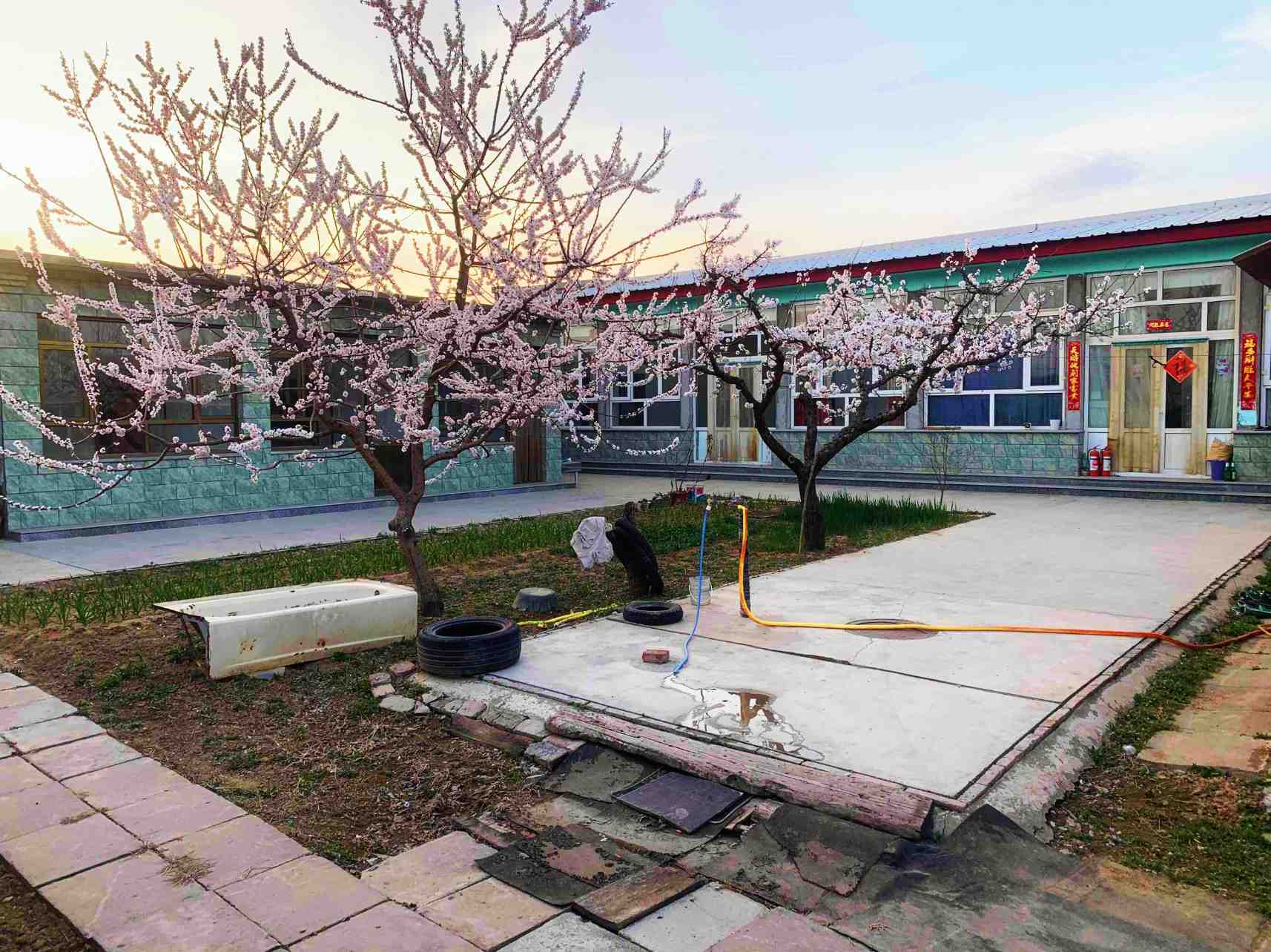 百花盛开的季节，我们找的小院子也一定不能逊色啊！