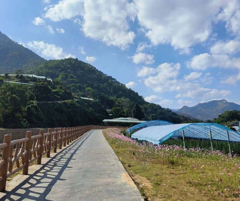 攀枝花米易县草场镇克朗村红房子康养房