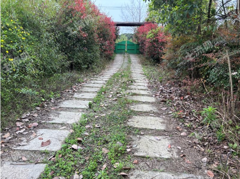 天府大道附近46亩经营性农场出租